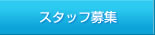 スタッフ募集